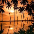 Hawaiian Beach Sunset Reflection