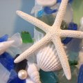 Starfish Shells and Sea Glass