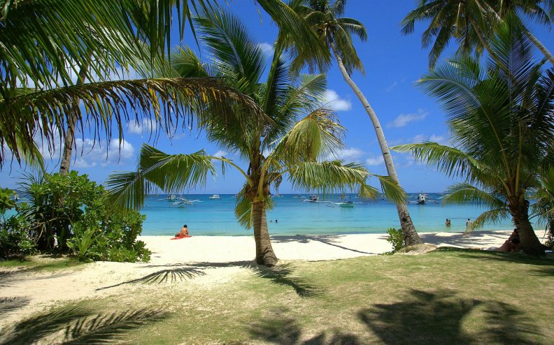 palm_trees_on_tropical_beach.jpg