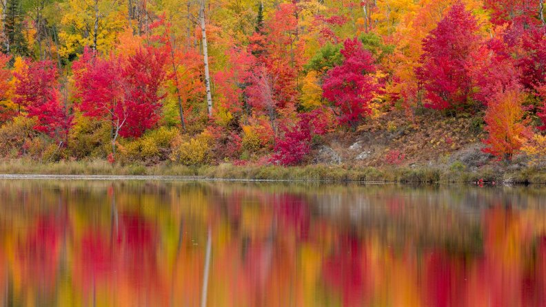 autumn_forest_lake_reflection.jpg