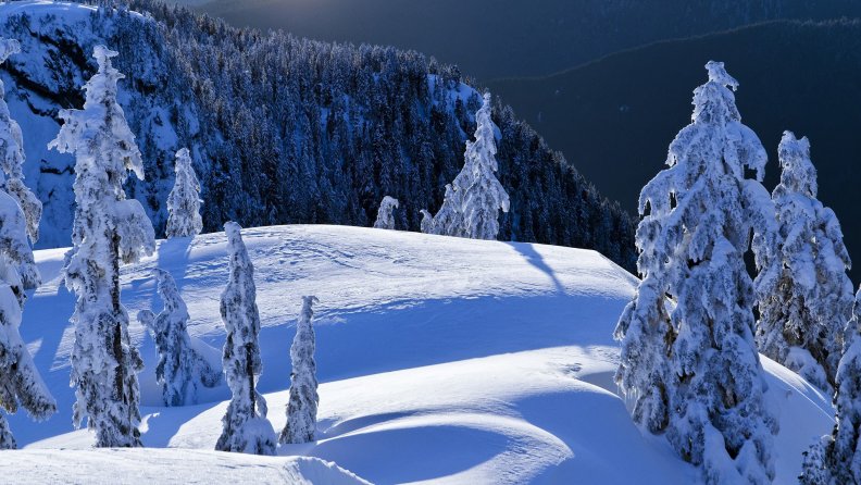 winter_landscape.jpg