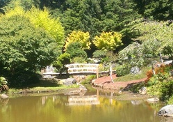 Tranquil Japanese Garden,