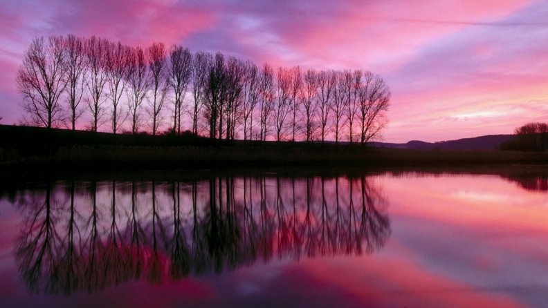 tree_reflection_at_sunset.jpg