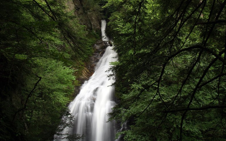 waterfall_in_the_woods.jpg