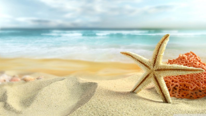 starfish_on_the_beach.jpg