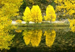 Autumn Reflection