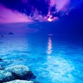 Blue Sea and Purple Sky