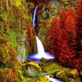 Waterfall in the Autumn