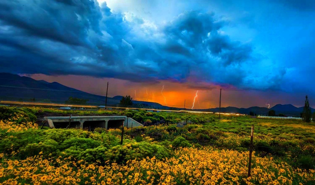 Stormy Summer, Arizona