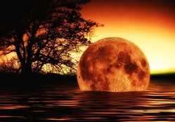 Spectacular Moonset