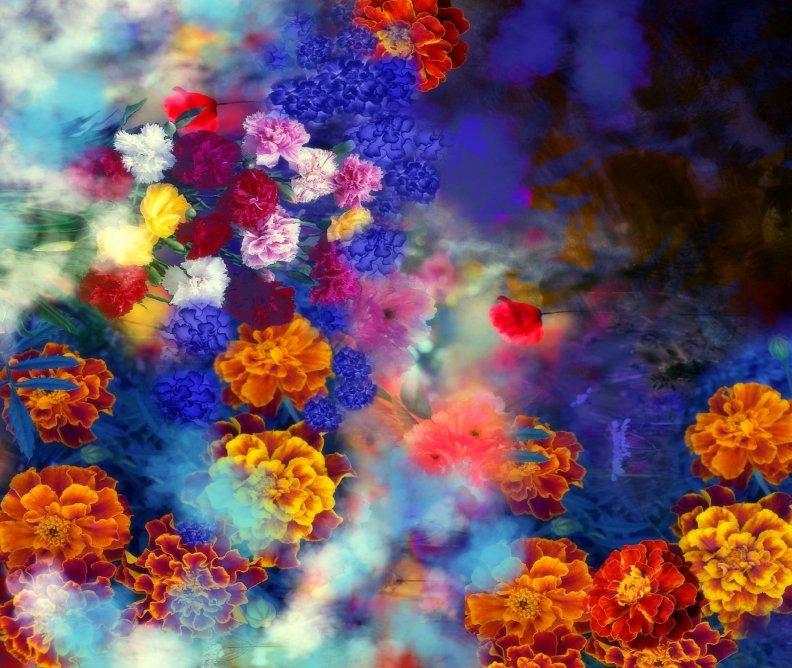 colorful_carnations.jpg