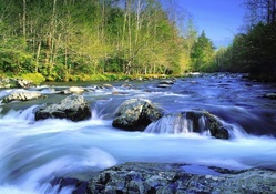 lovely fast flowing river
