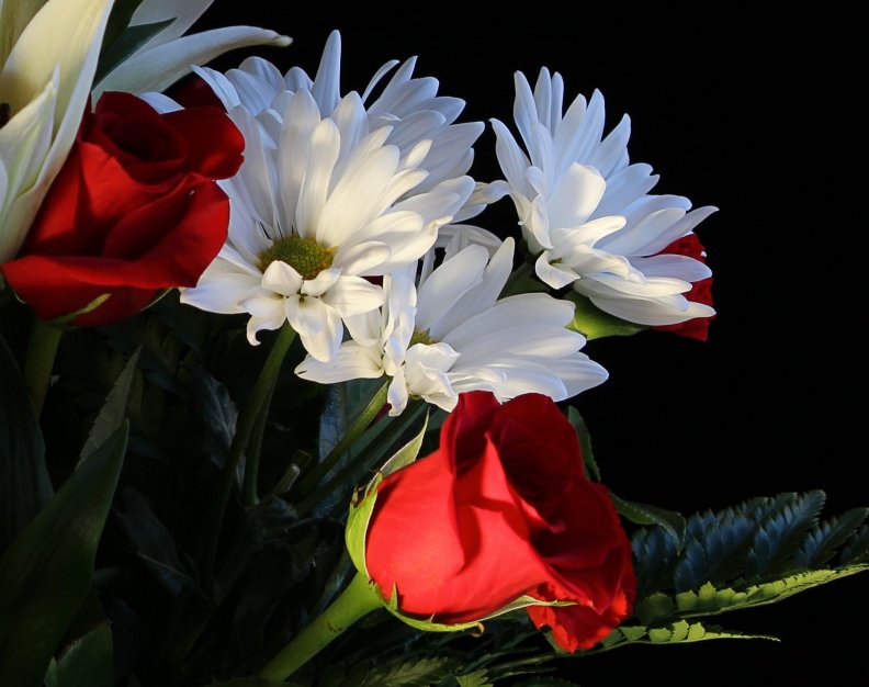 White Daisys and red Roses