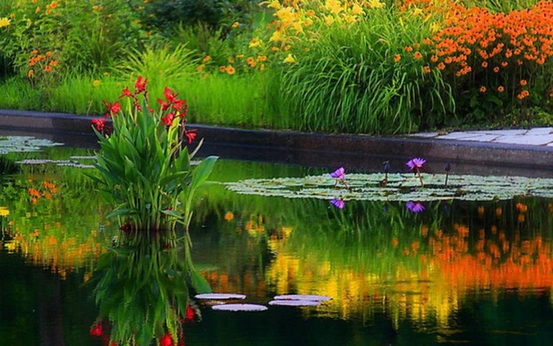 Autumn Colored Pond