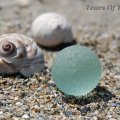 Shells and Sea Glass