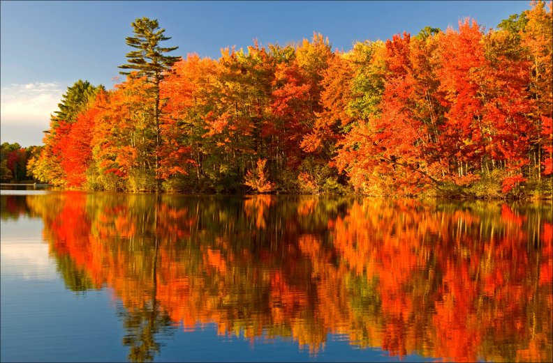 Autumn Colours, Algonquin Park, Ontario