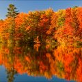 Autumn Colours, Algonquin Park, Ontario