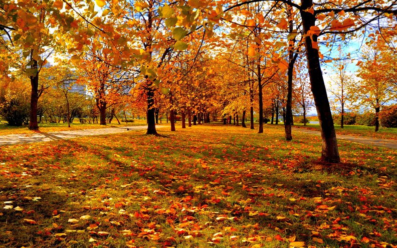 park_in_autumn.jpg