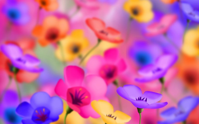 beautifully_colored_flowers.jpg