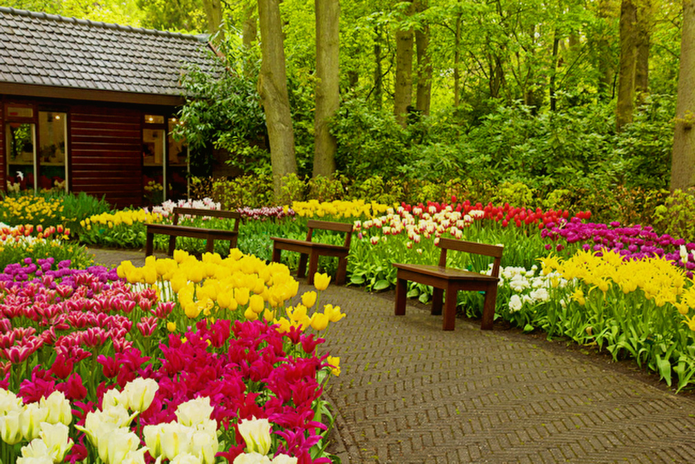 Holland garden