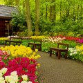 Holland garden