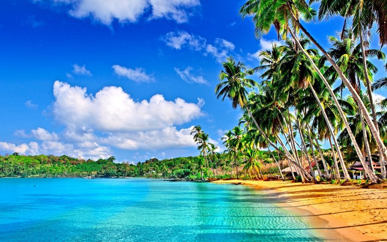 tropical_paradise.jpg