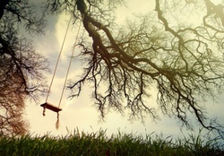 Swing on the Tree