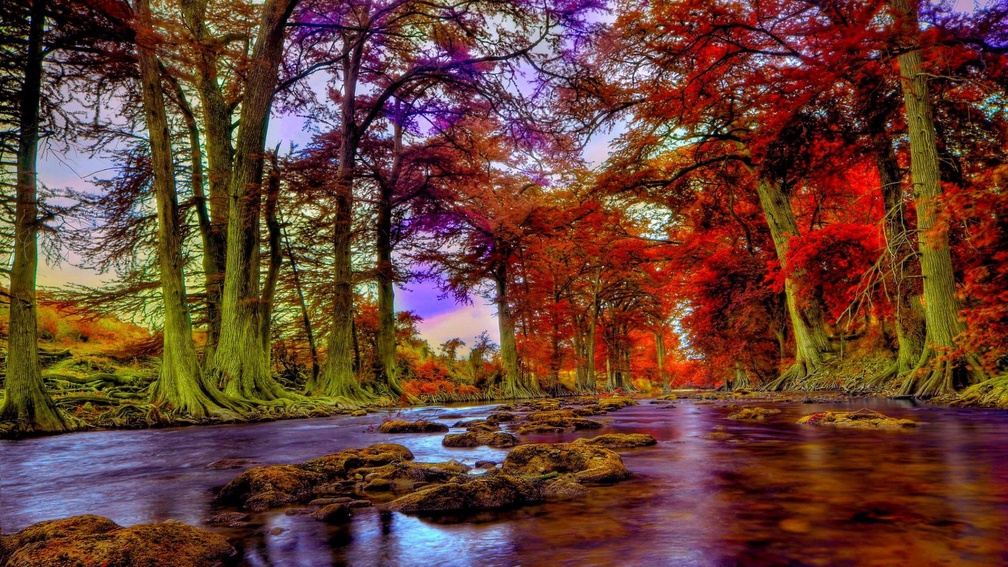 guadalupe river in texas during autumn hdr
