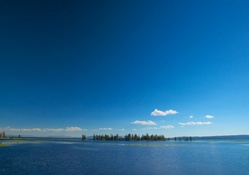 Small Island in Blue Lake, Yellowstone National Park