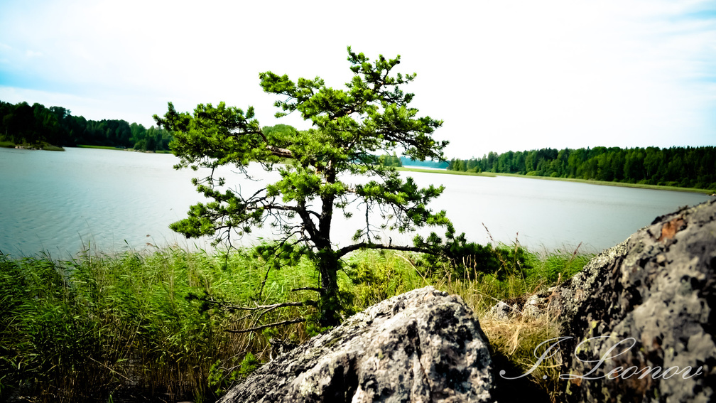 Sweet Ladoga Lake