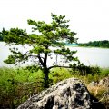 Sweet Ladoga Lake