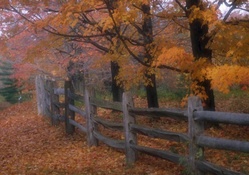 Ohio Fences