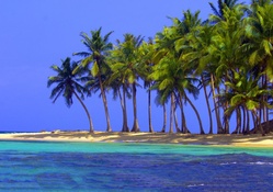 Island with Palm Trees