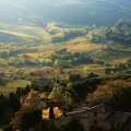 rural view from a tuscan hill
