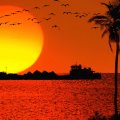 sunset in india