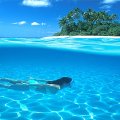 Scuba Diving in Paradise