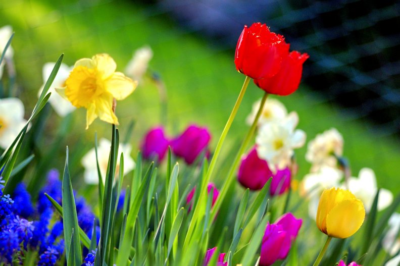 colorful_spring.jpg