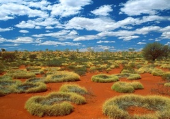 Sandy Desert in Australia