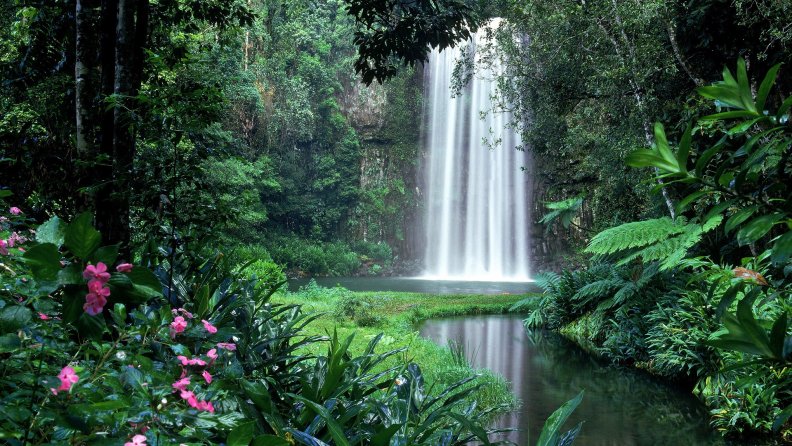 lovely_waterfall_in_tropical_forest.jpg