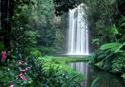Lovely waterfall in tropical forest
