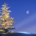 Decorated Tree and Full Moon