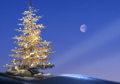 Decorated Tree and Full Moon