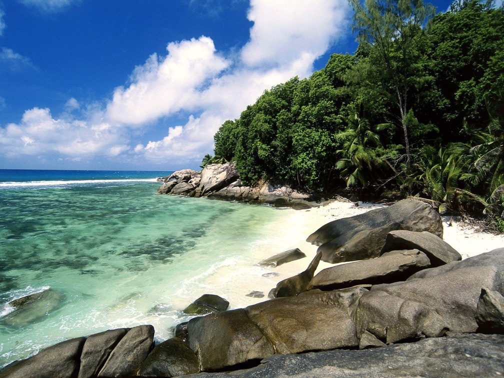 Seychelles Cove