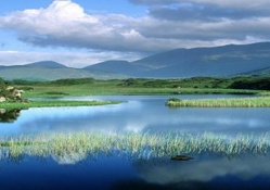 Wetlands and Mountains