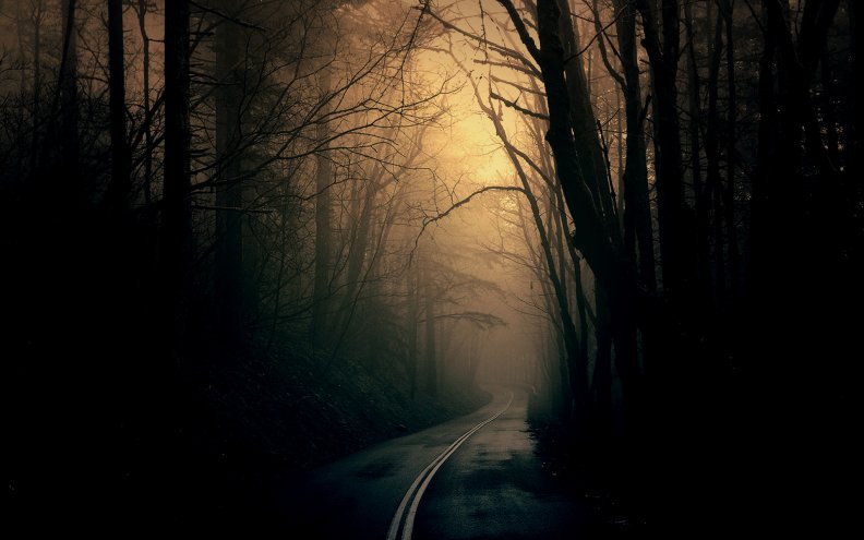 dark_forest_road.jpg