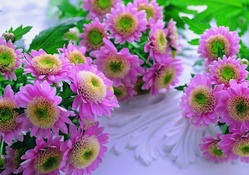 Lovely Flowers