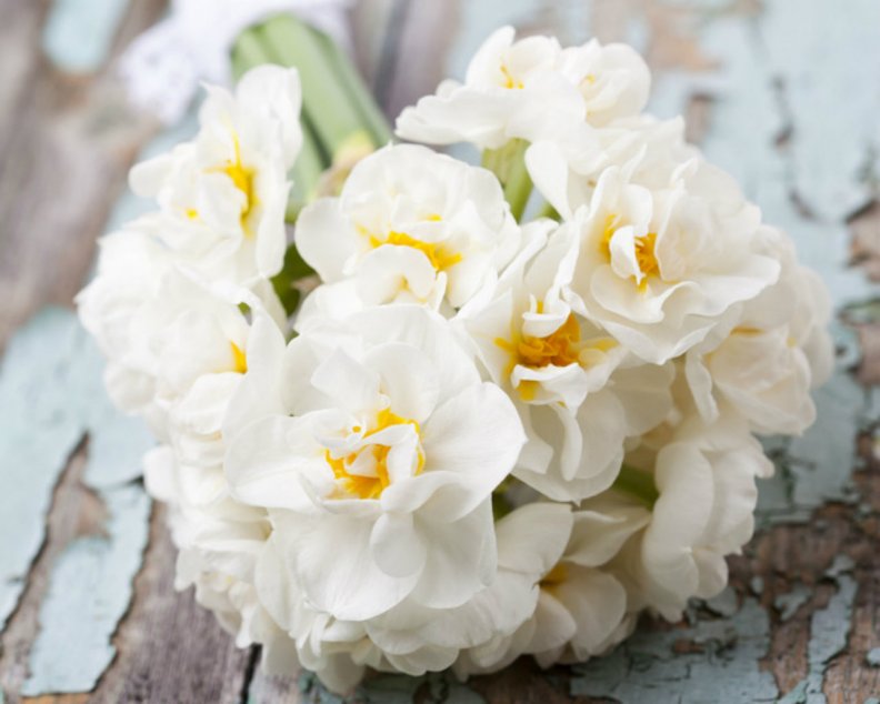 white_bouquet.jpg