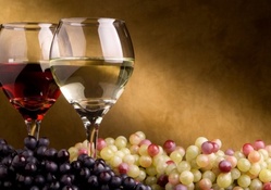 Elegant wine glasses wallpaper