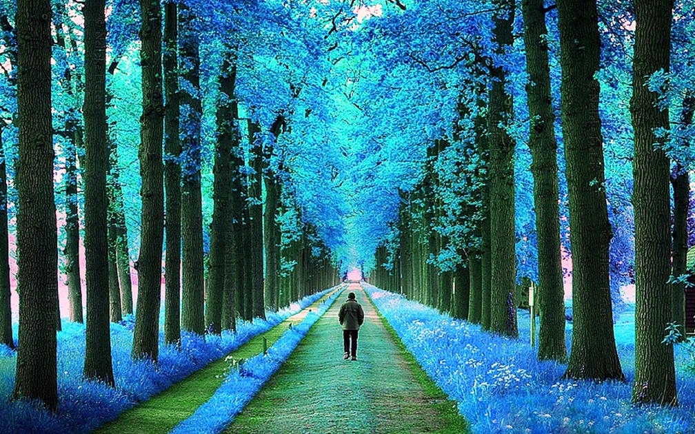 'Walking in the blue Parks'