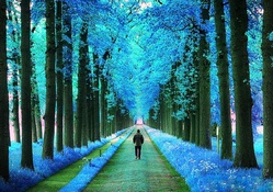 'Walking in the blue Parks'